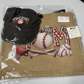 Baseball lot item