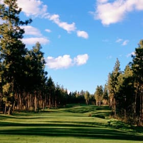 Okanagan Golf Club - Golf for Four item