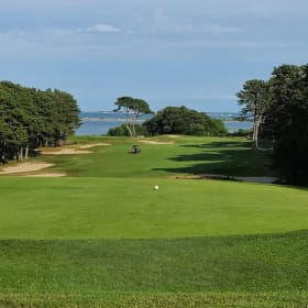 Threesome of Golf at Farm Neck Golf Club item