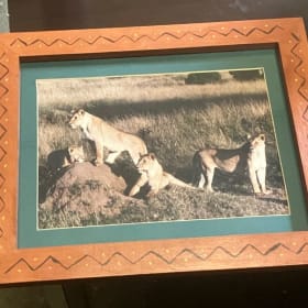 Framed Lion Photo item