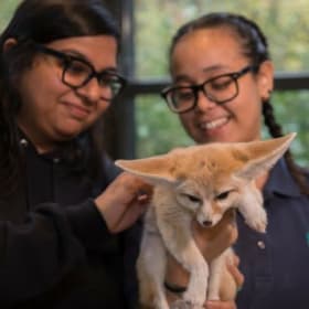 Private Encounter of your choice for 6 people item