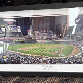 Custom Framed Minnesota Twins Print item