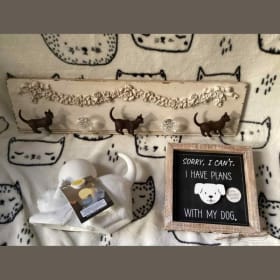 Shabby Chic Cat Wall Hook Package item