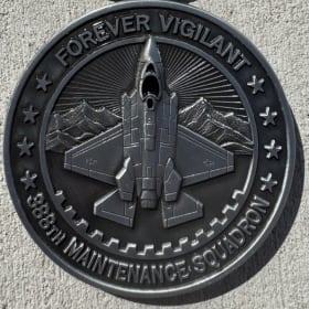 NEW Squadron Coin item