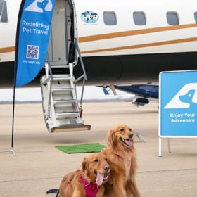 $700 Voucher to Fly RetrievAir item