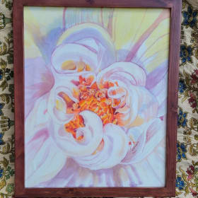 Tipped in Pink Chrysanthemum item