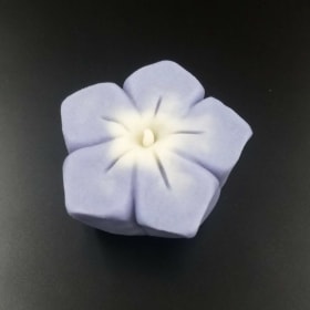 July 5 at 1pm - Nerikiri item