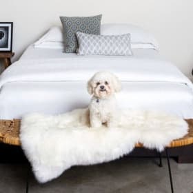 Overland Sheepskin Co. Sheepskin Pelt item