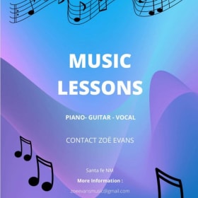 Introductory Voice/Guitar/Piano Lesson- 30 minutes item