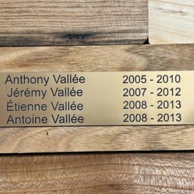 1 plaquette gravée - Arbre de vie item