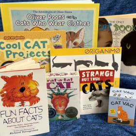 🐈”The Cat’s Meow”🐈‍⬛ item