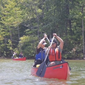 70% Scholarship item