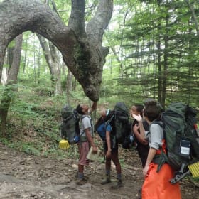 50% Scholarship item