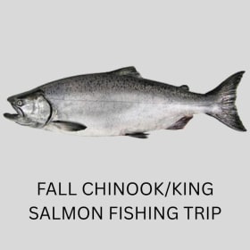 FALL CHINOOK/KING SALMON FISHING TRIP item