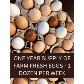 ONE YEAR SUPPLY (EVERY OTHER WEEK) OF FARM FRESH EGGS item