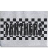Gray Retro Panthers T-Shirt item