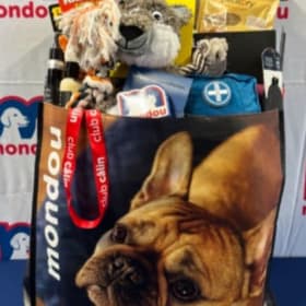 Dog Care Bundle + $100 Mondou Gift Card item