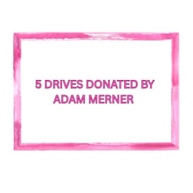 5 Free Drives Donated by Adam Merner item