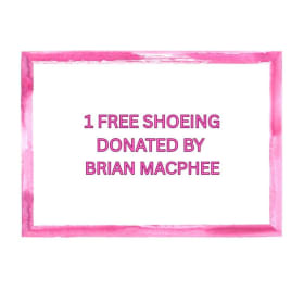 1 Free shoeing donated by Brian MacPhee (#2) item