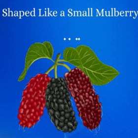 Shaped Like a Small Mulberry by Sophie Loehrich (e-book) item