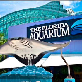 Family Four Pack of Tickets to The Florida Aquarium item