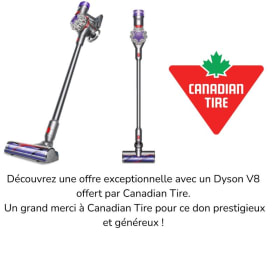 DYSON V8 item