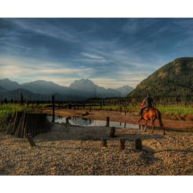 1-Hour Trail Ride with Mustang Stables item