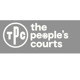 ALL DAY GAME PASS FOR 6 PEOPLE TO THE PEOPLE’S COURTS item
