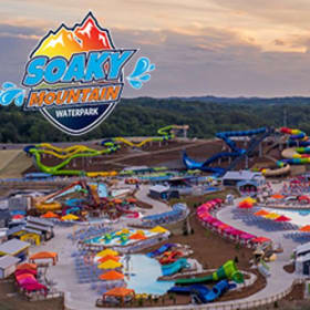 Pigeon Forge Basket item