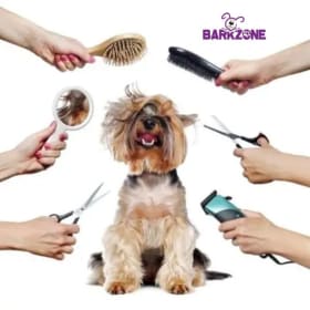 DOG BOARDING AT BARKZONE item