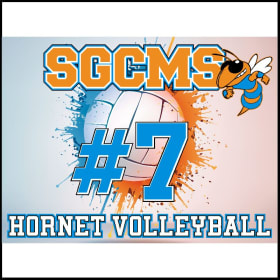 Volleyball Sign item