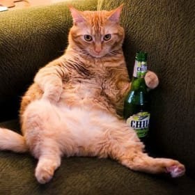 Barley Supporter item