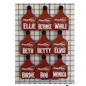 50 Engraved Ritchey Eartags item