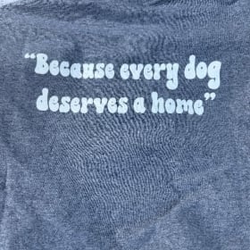 Grey Crewneck Logo T-shirt Trio Front/Back item