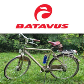 Limited Edition Dutch Bicycle item