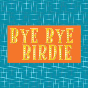 Bye Bye Birdie Media item