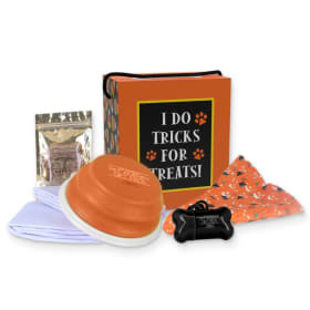 Howl-o-ween PUPPYMINI Gift Pack item