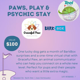 Paws, Play & Psychic Stay item