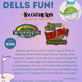 DELLS FUN! item