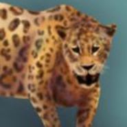 Apamxuepet ▪ Jaguar Sponsor – item