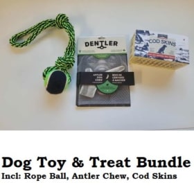 Dog Toy & Treat Bundle item