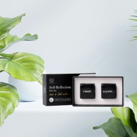 Dice Game ~ Self Reflection item