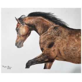 Pet Memorial Picture item