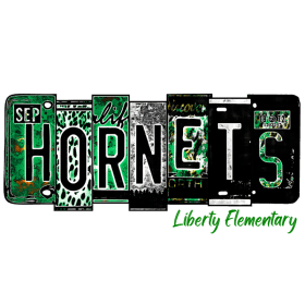 👕 Liberty Elementary Spirit Tee – Adult Unisex 👕 item