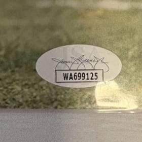 Pittsburg Steelers Antonio Brown Print item