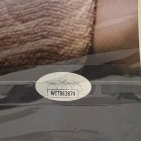 Indiannapolis Colts Mike Vanderjagt Print item