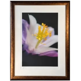 “Glamour Girl” – Signed Fine Art Photograph by Jim Steinberg item