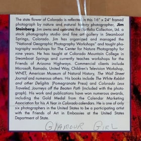 “Glamour Girl” – Signed Fine Art Photograph by Jim Steinberg item