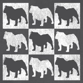 *NEW* Bulldog Grid T-shirt item