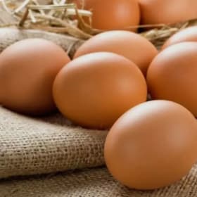 2 dozen free range eggs item